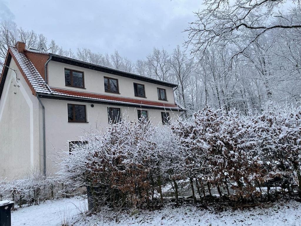 Apartment Am Hochwald Reinhardtsdorf-Schona Kültér fotó