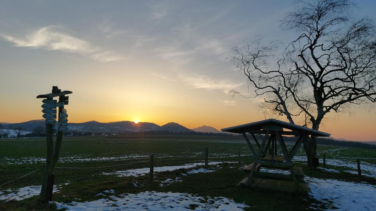 Apartment Am Hochwald Reinhardtsdorf-Schona Kültér fotó