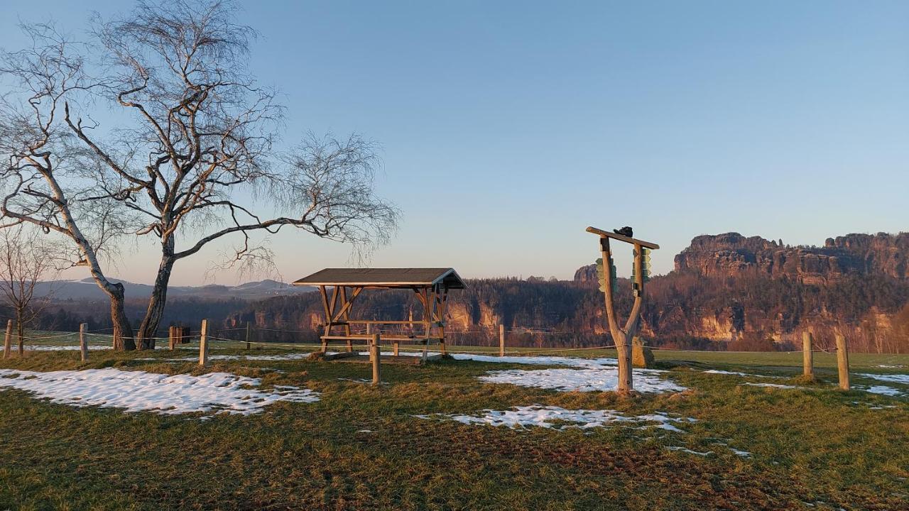 Apartment Am Hochwald Reinhardtsdorf-Schona Kültér fotó