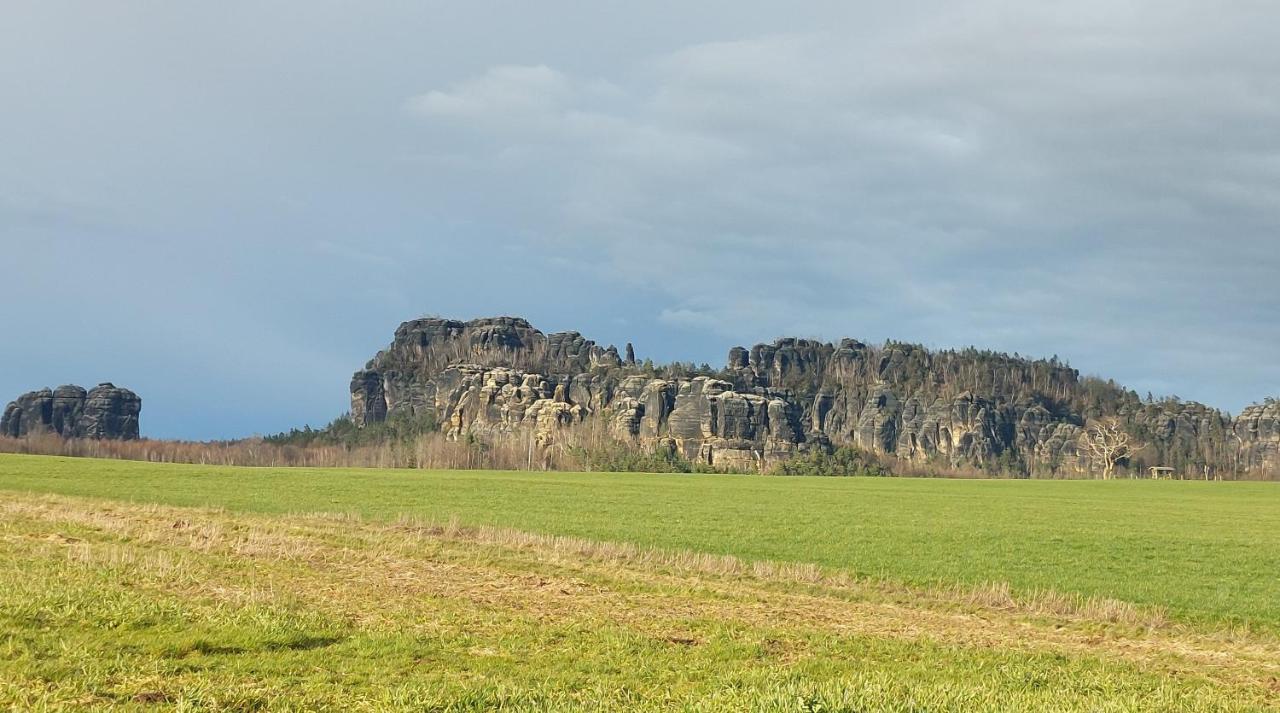 Apartment Am Hochwald Reinhardtsdorf-Schona Kültér fotó